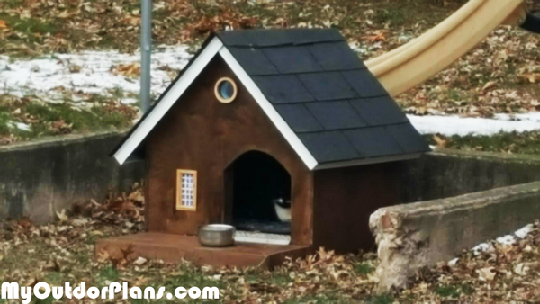 I Built a Cozy Cat Shelter for Strays
