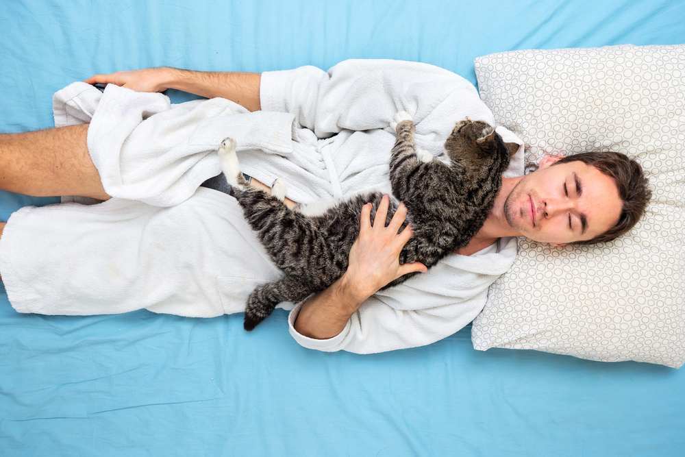 From 'No Cats on the Bed' to Cat Dad Supreme