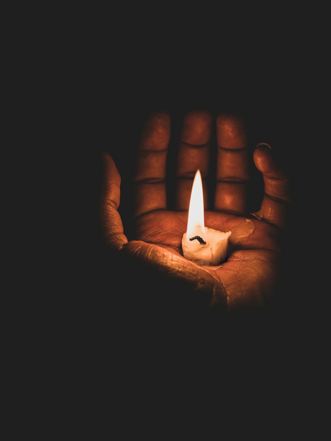 2024 Broke My Reality—Here’s What Happened