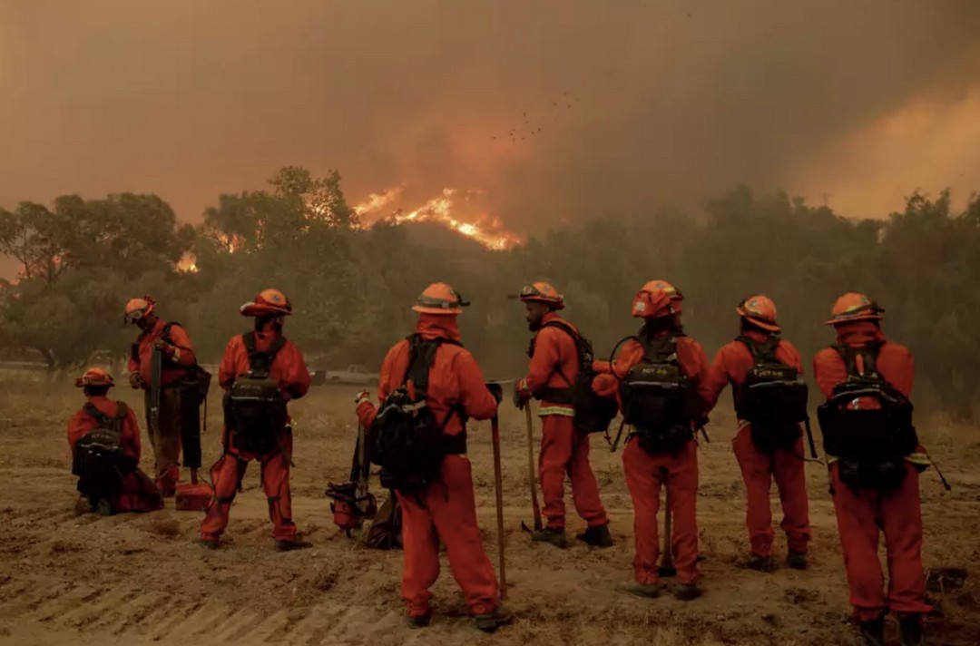 🔥⚠️CA Fire Season Alert: It's Gonna Be Rough This Year