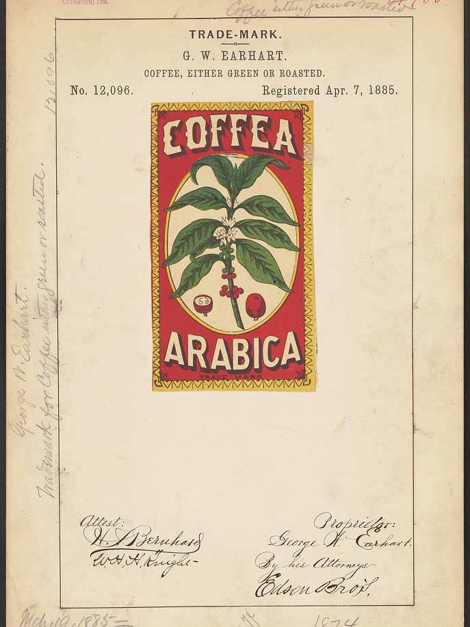 Coffee Roots in Unexpected Soil: The American Brew Beyond the Mainland