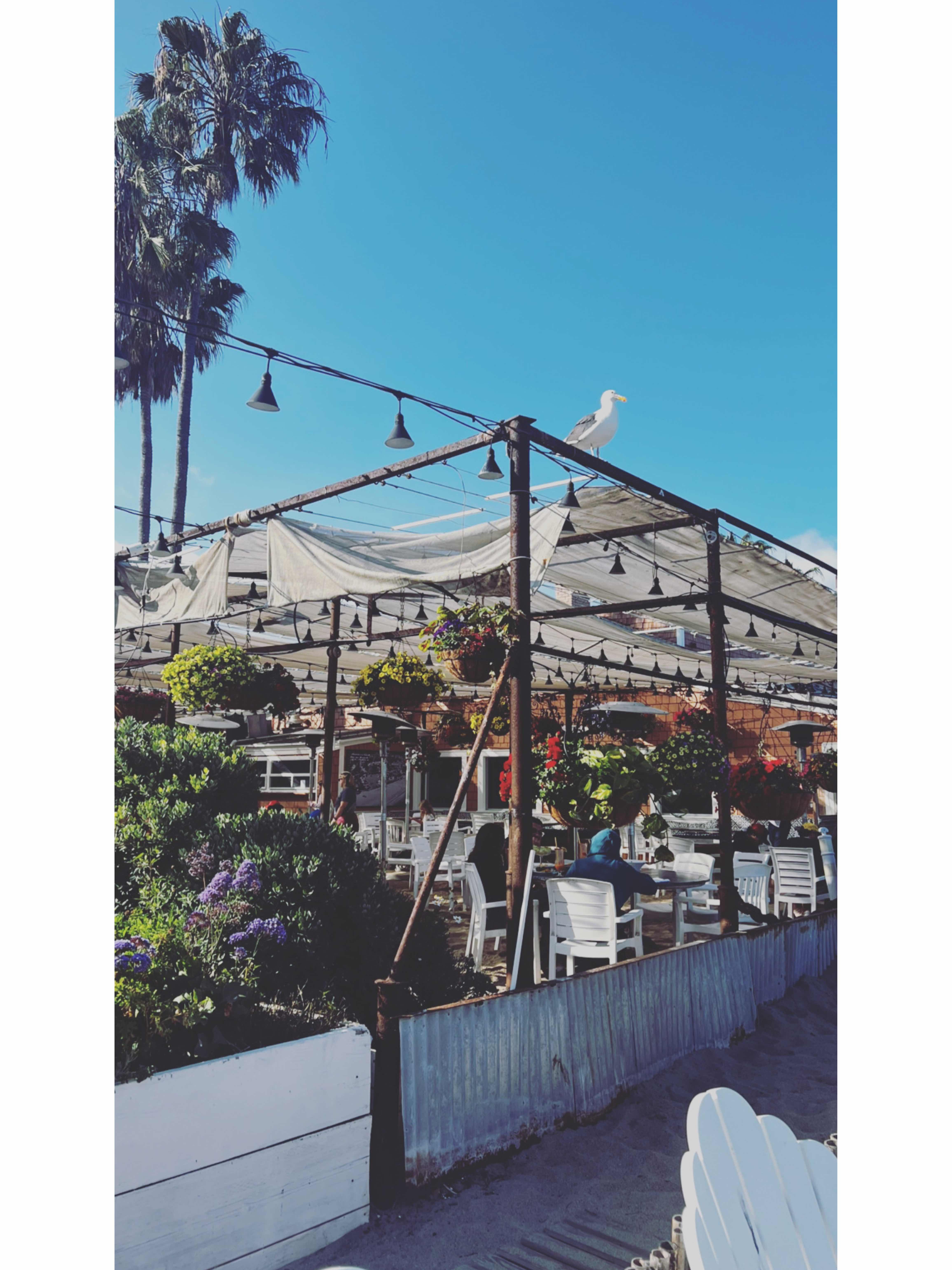 Eat on the beach & Enjoy California
