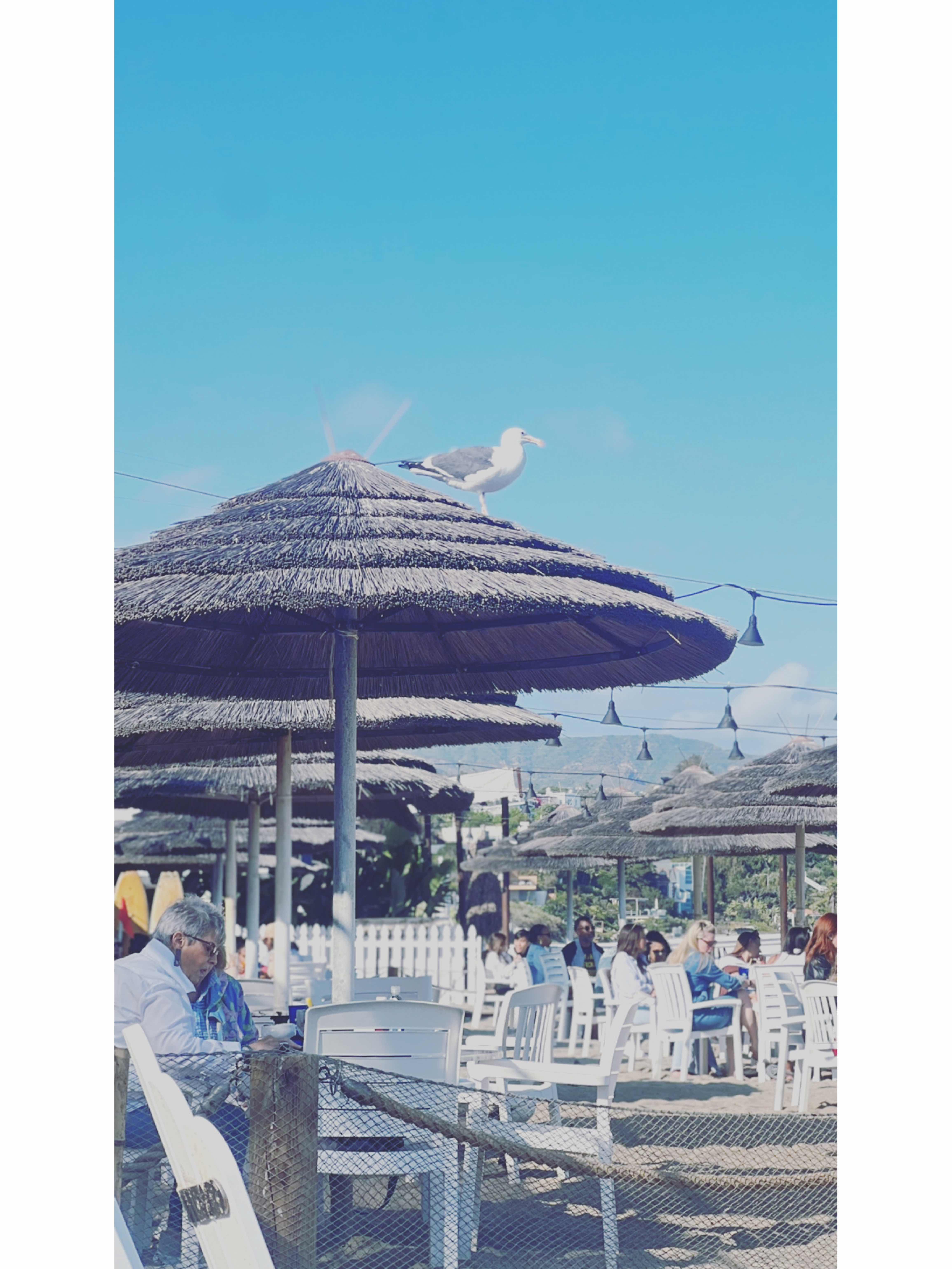 Eat on the beach & Enjoy California