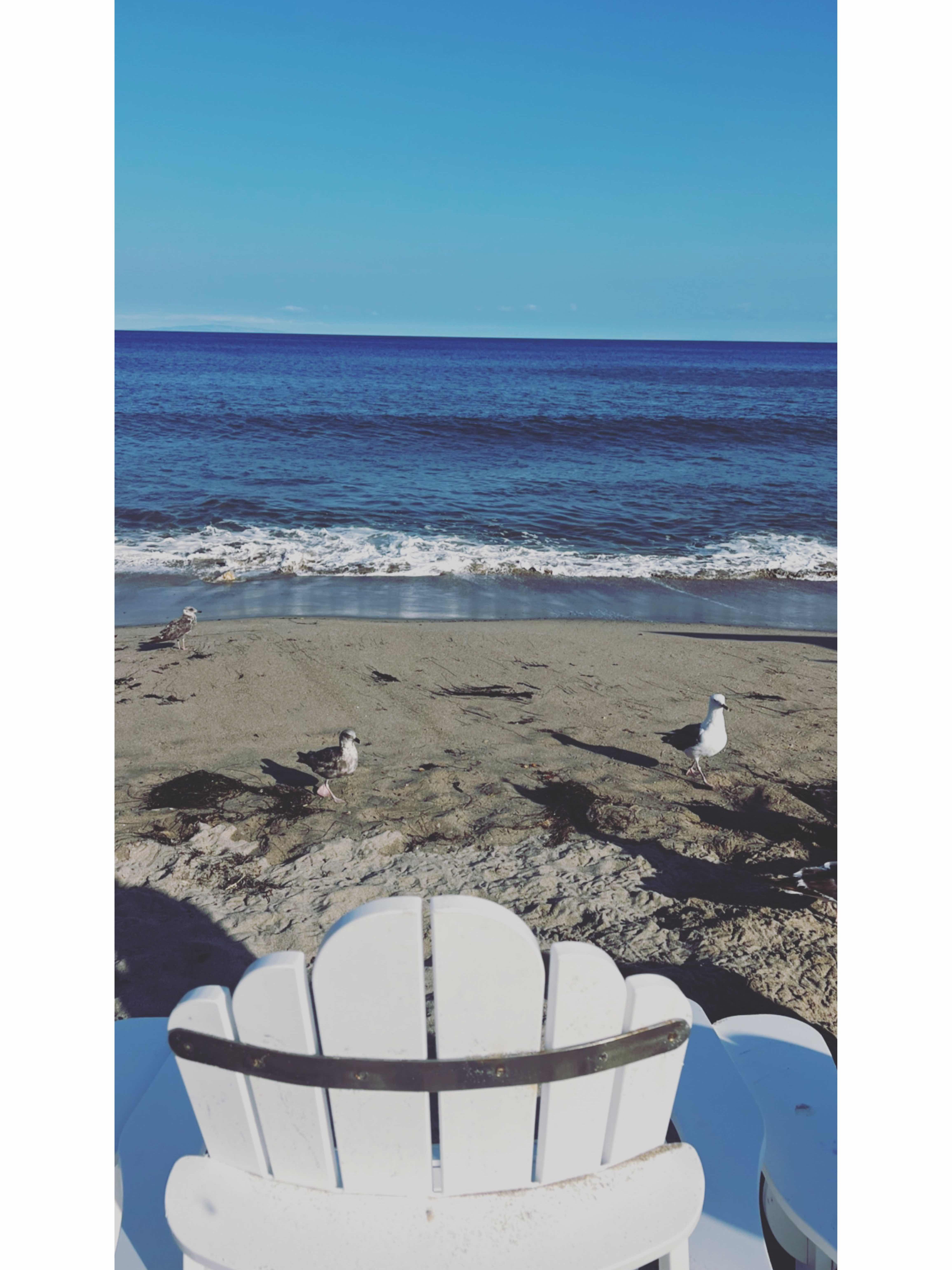 Eat on the beach & Enjoy California