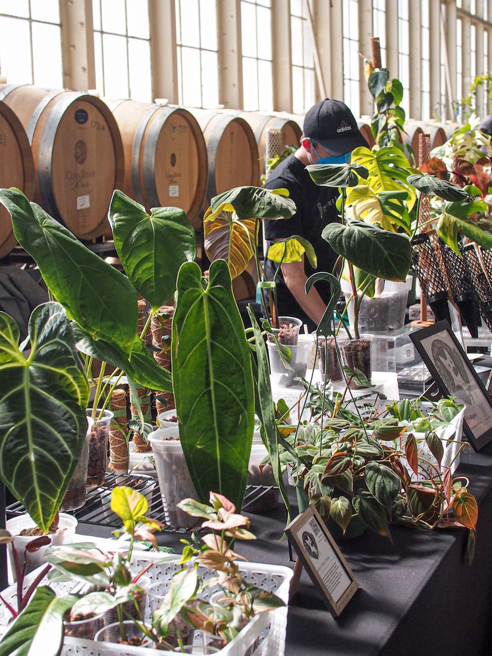 📍**Fun Market Place in Bay Area**