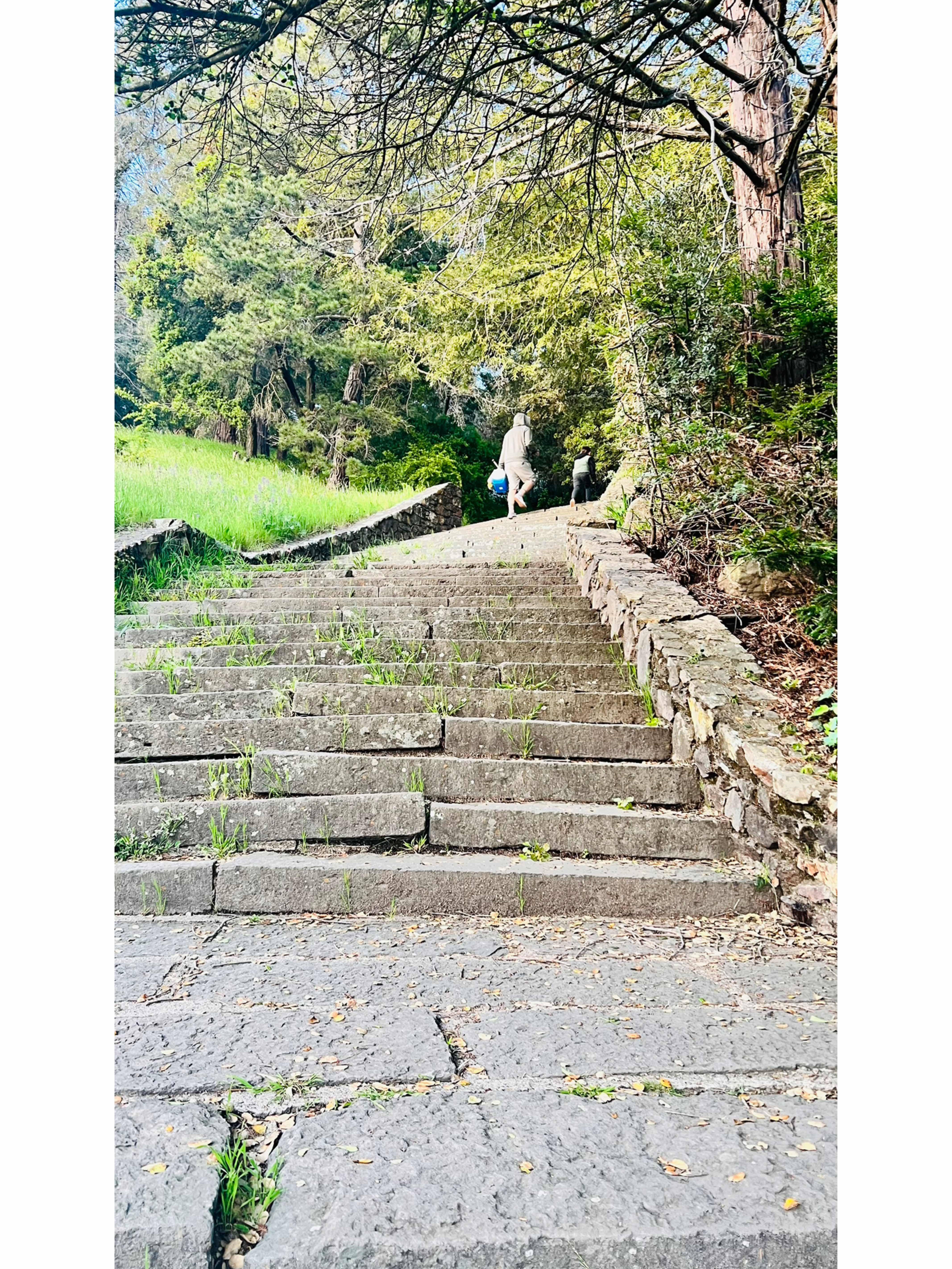 Joaquin Milker Hike 