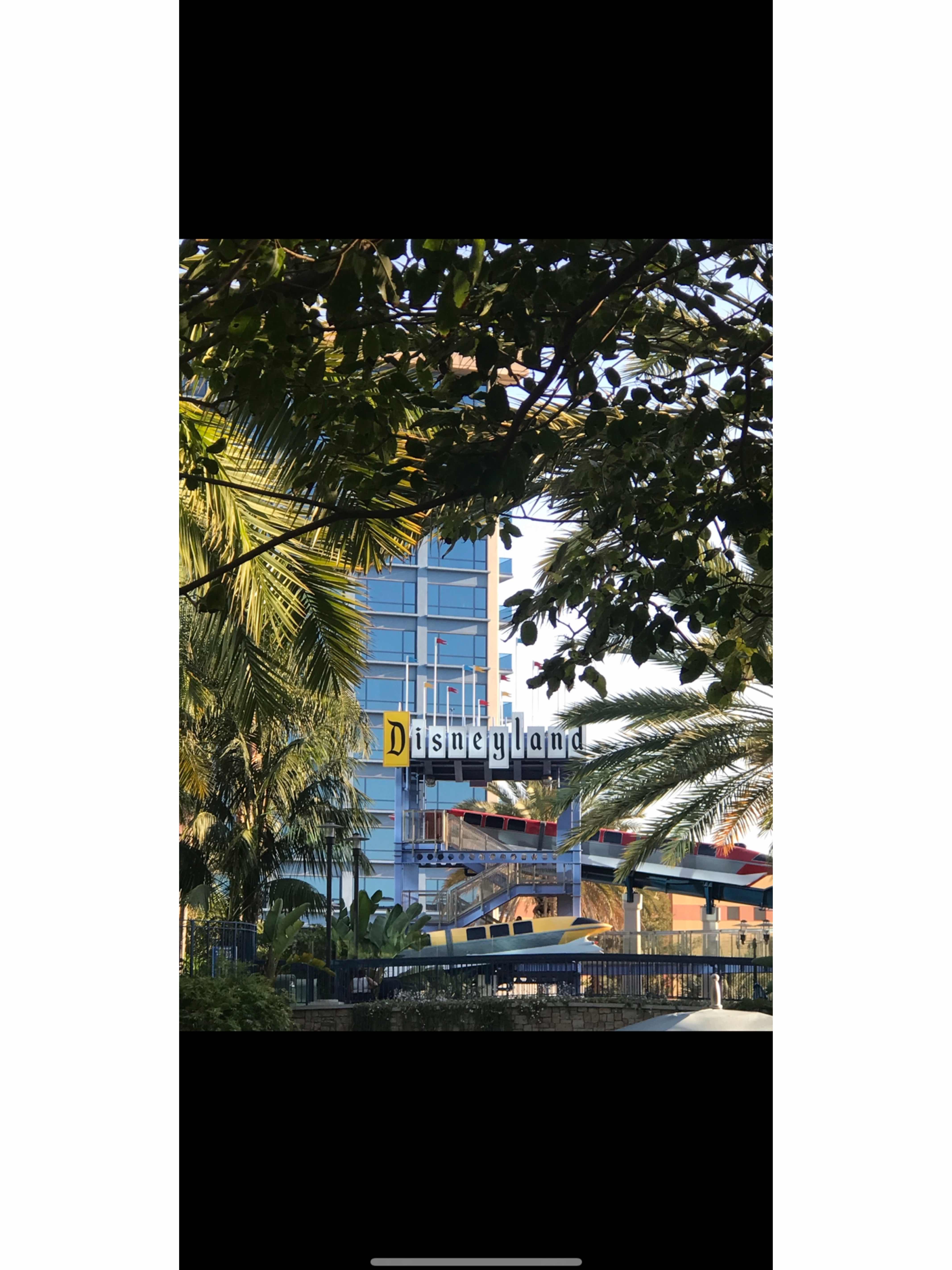 Disney Hotel