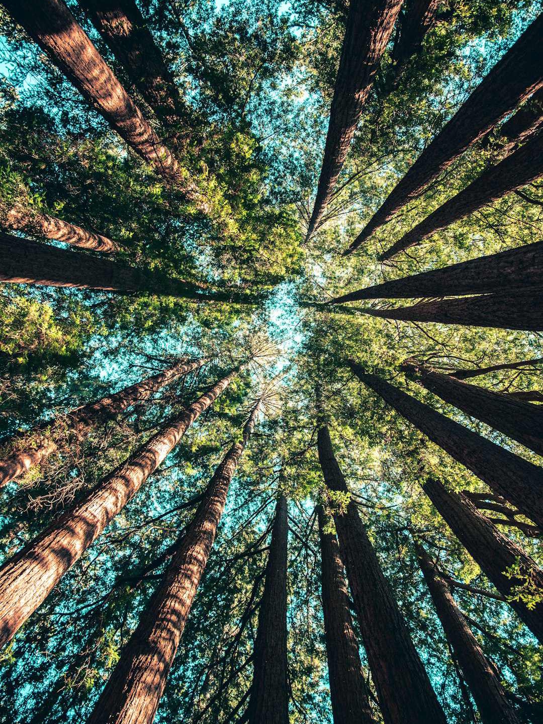 How My Ego Stole a Decade of Meditation From Me