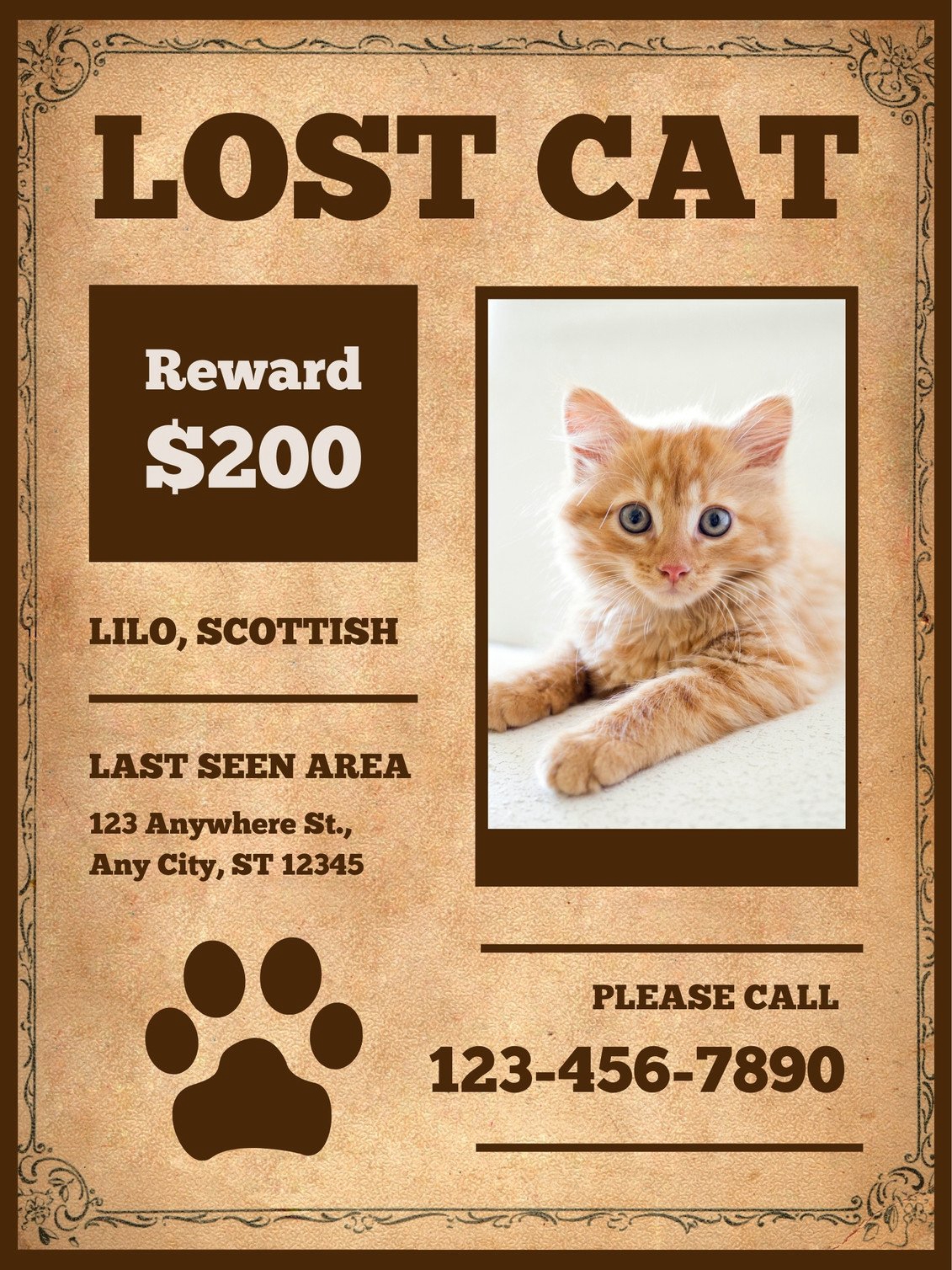 My Cat Vanished While I Was Away—And No One Cares