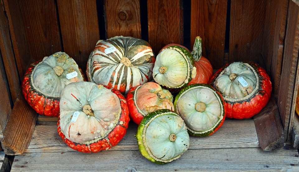 How Pumpkins Rolled Through American Visual History