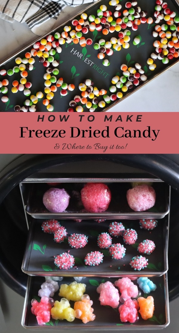 TikTok Trend, No Gear Needed: Freeze-Dried Candy at Home