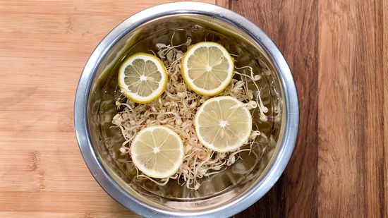 Keep Bean Sprouts Crisp for Days: My Go-To Storage Hacks