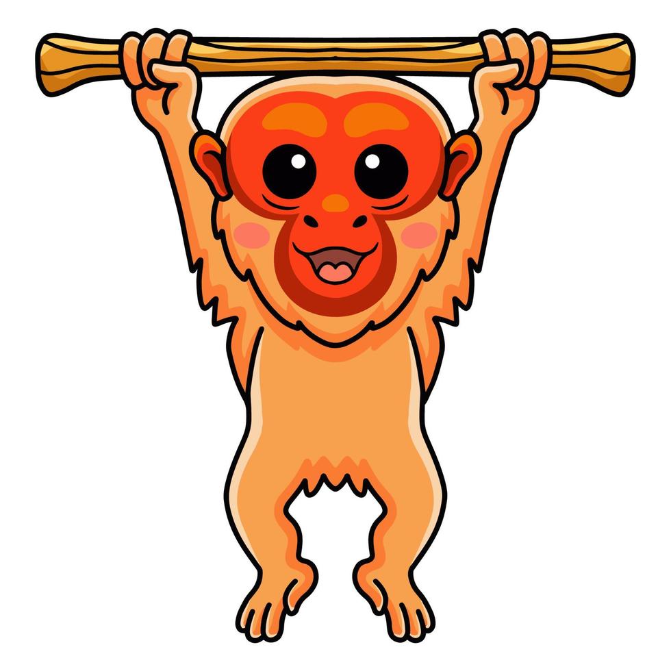 🍅 Why So Red? Meet the Bald Uakari!