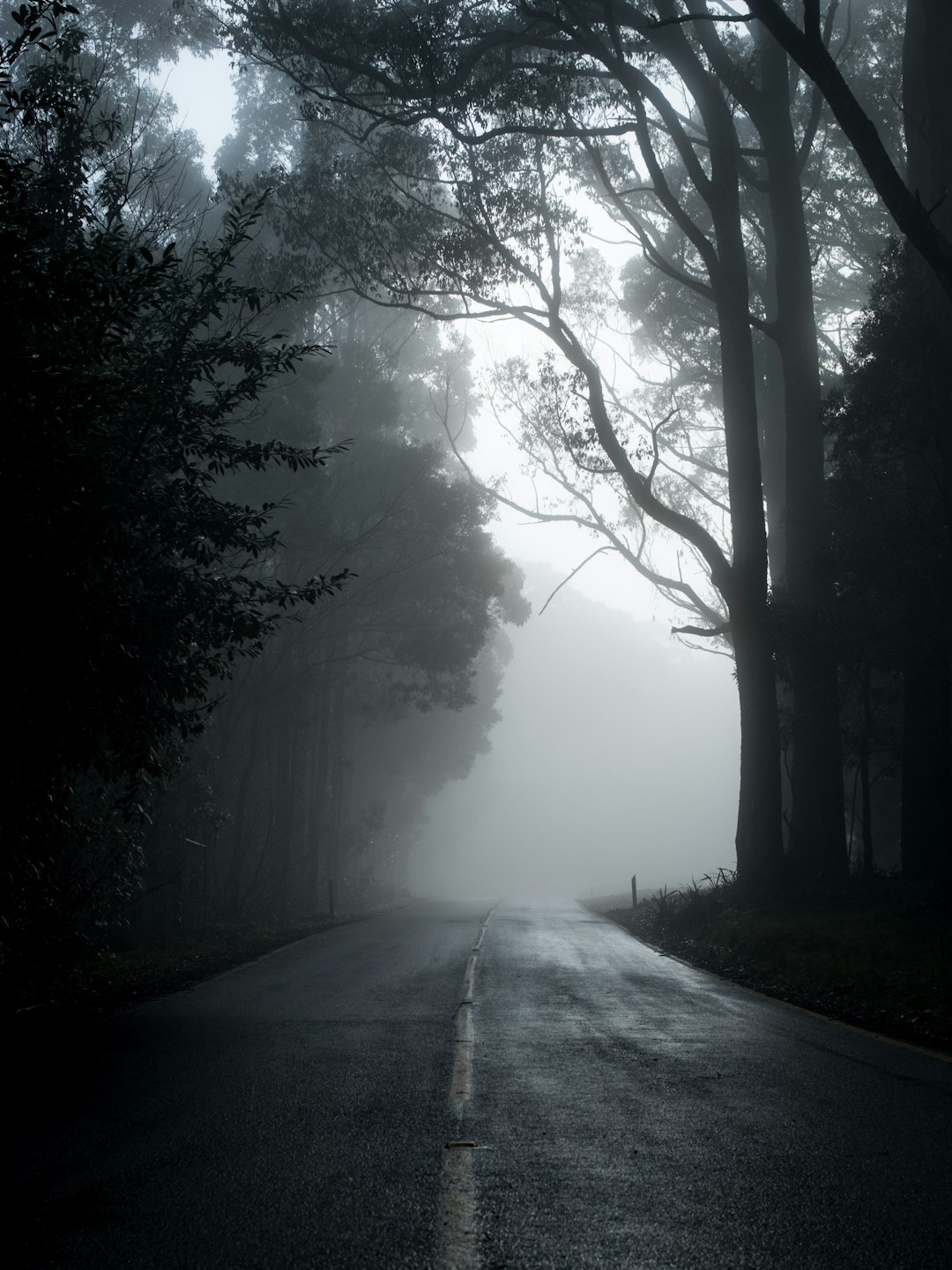 I Ignored the Red Flags & Lived With a Ghost