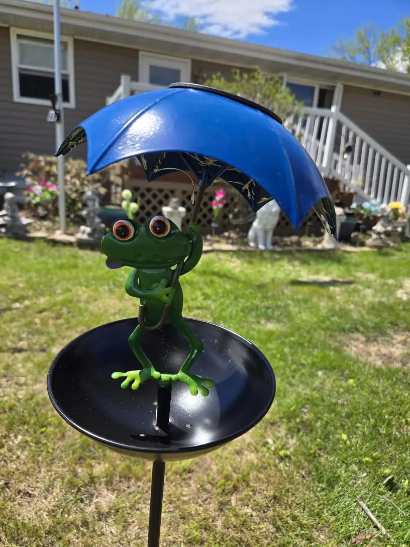 Adorable little accent piece to my boring yard!