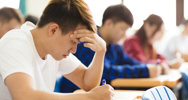 Springtime Secrets: The Hidden Drama of Exam Day 🌸✏️