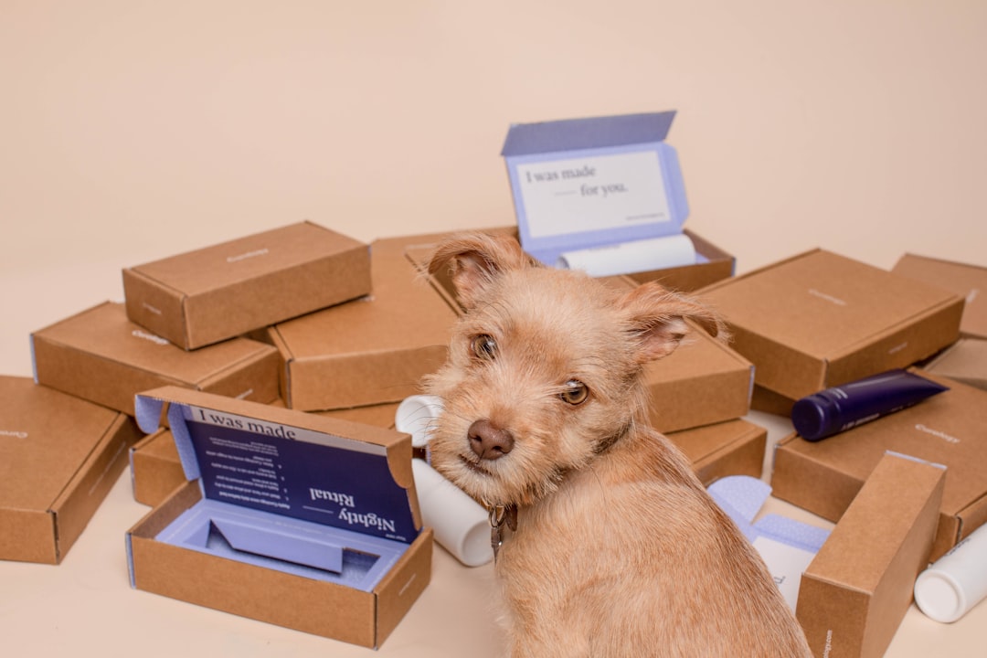 Unlocking the Mystery of Volumetric Weight 📦✨