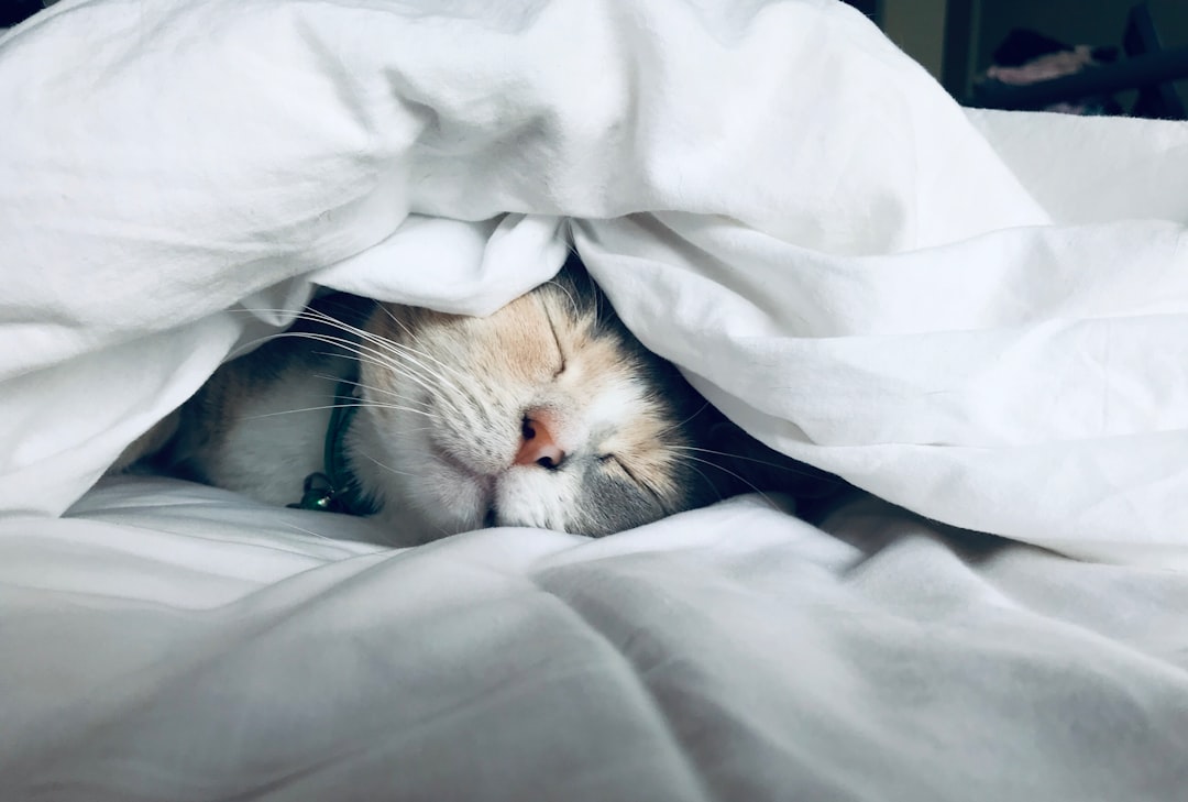 any real tricks for sleeping on a plane?