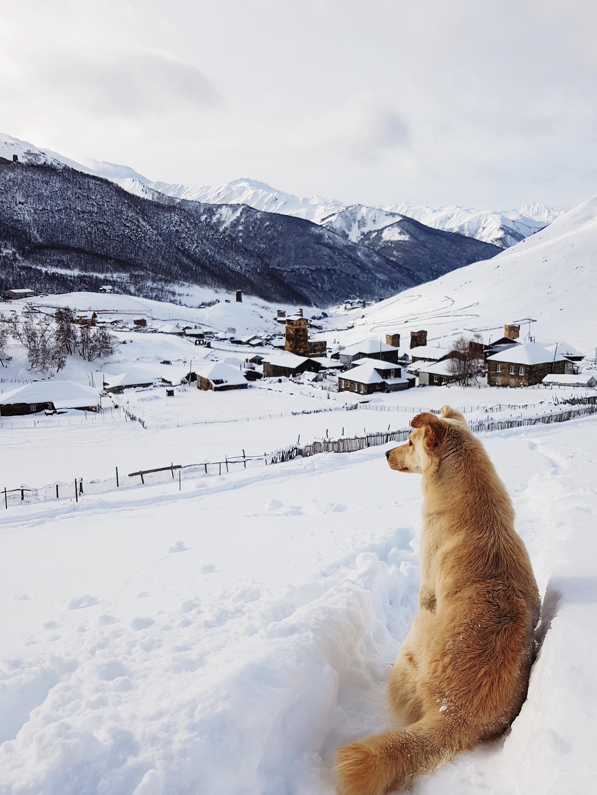 getting lost in ushguli: was it worth the trek?
