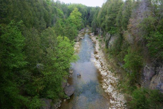 elora gorge: beautiful views but is it worth the hype?