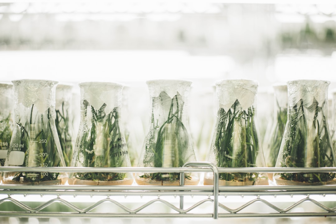 Mastering the Tri-Fold Science Project: Secrets to Stand Out!