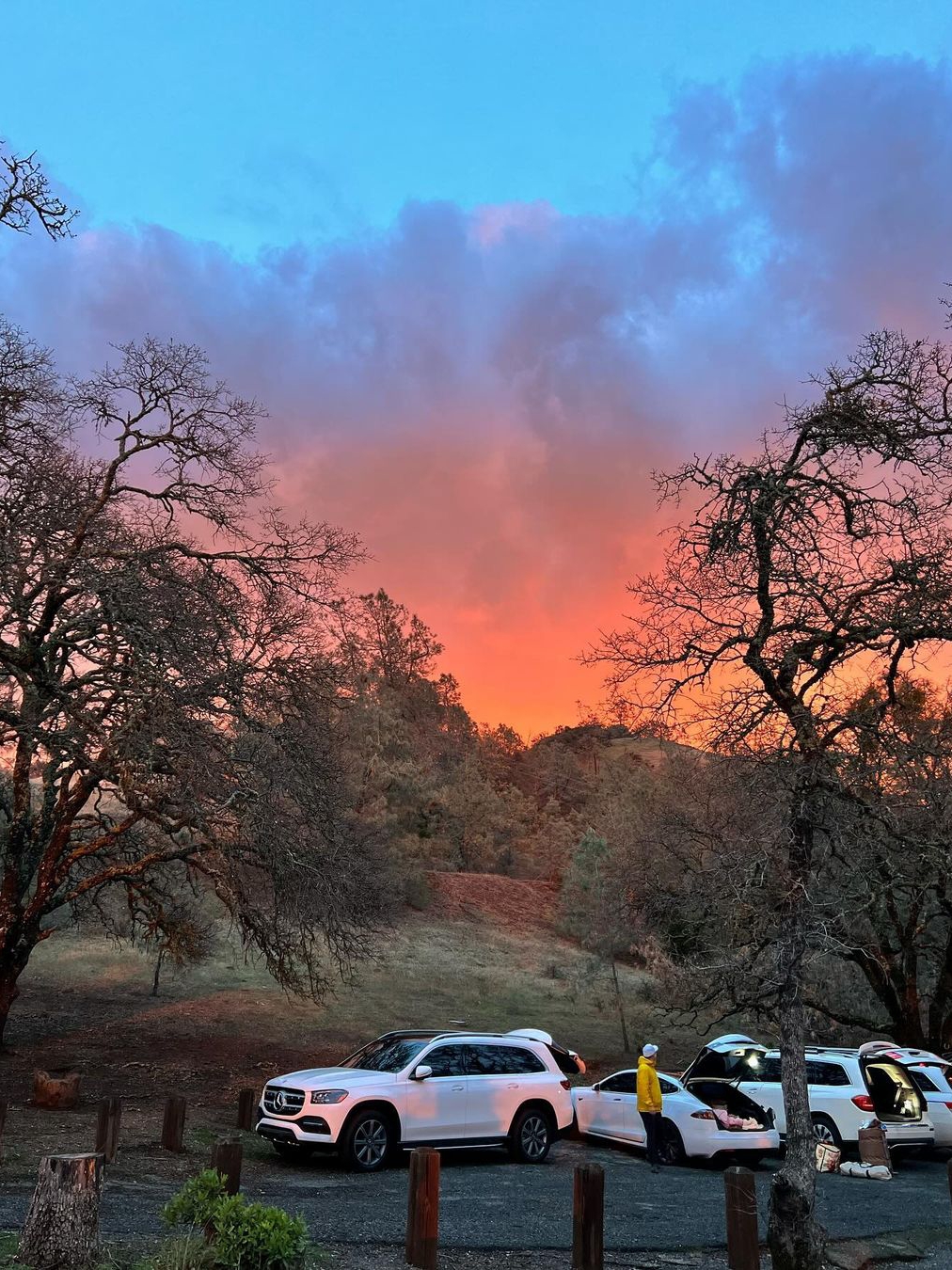Embark on a Challenging 8-Mile Hike: Mt Diablo Loop Adventure
