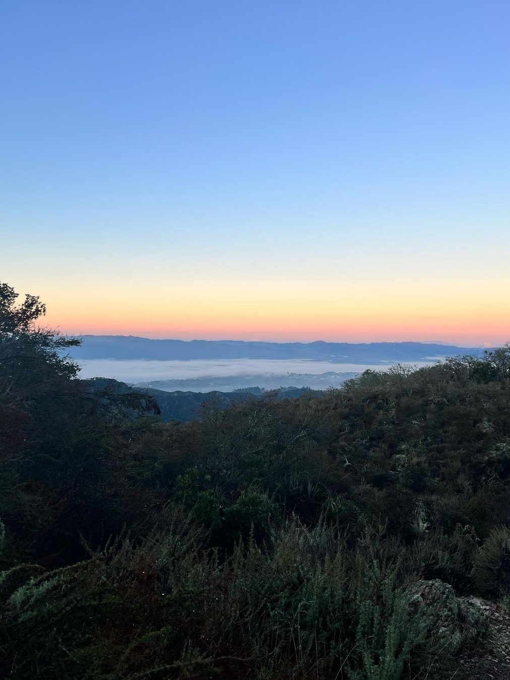 Embark on a Challenging 8-Mile Hike: Mt Diablo Loop Adventure

