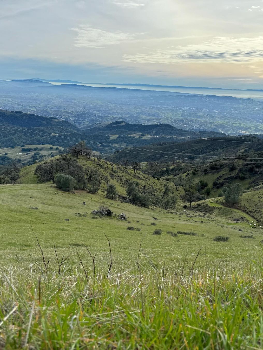 Embark on a Challenging 8-Mile Hike: Mt Diablo Loop Adventure
