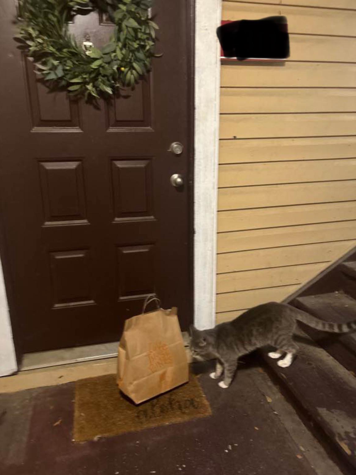 My Cat Hijacked My Food Delivery Photo
