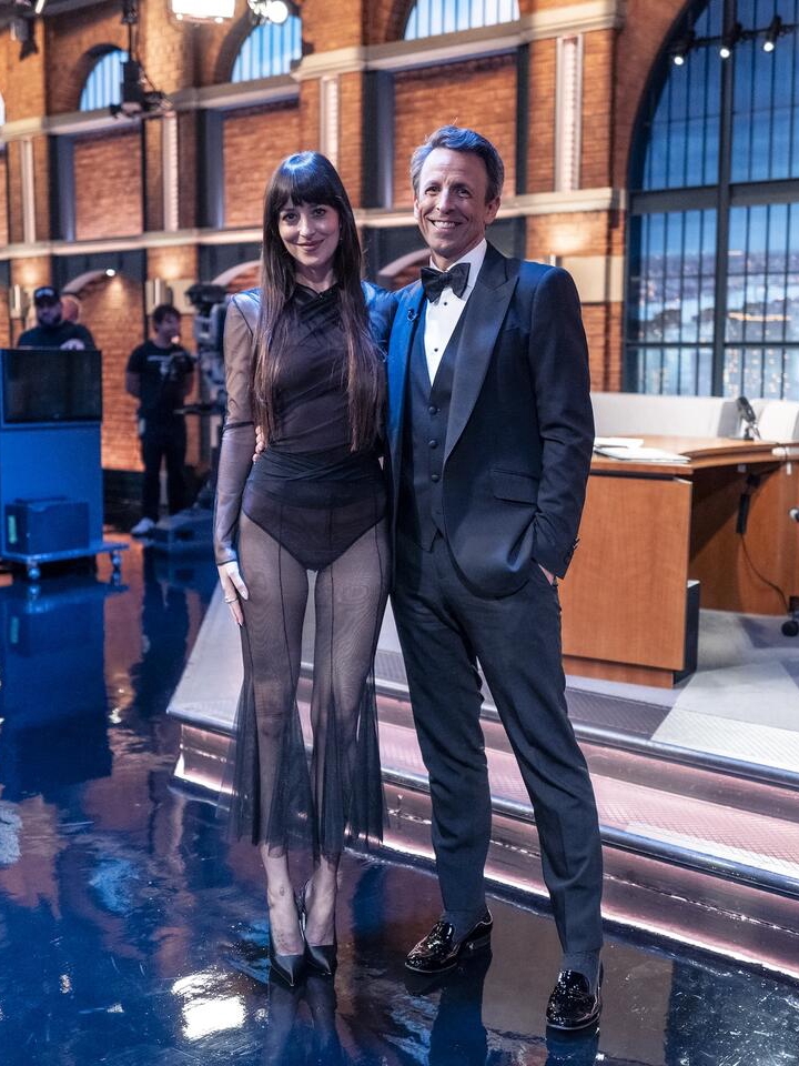 Dakota Johnson’s Sheer Dress Era Is Here