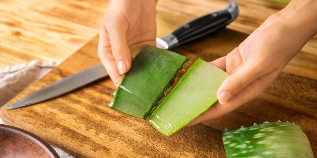 My Aloe Harvesting Hack No One Told Me