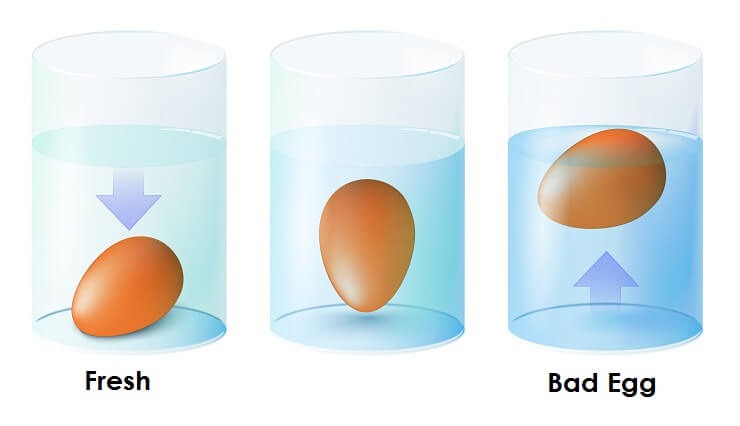 Check If Your Eggs Are Still Good to Eat!