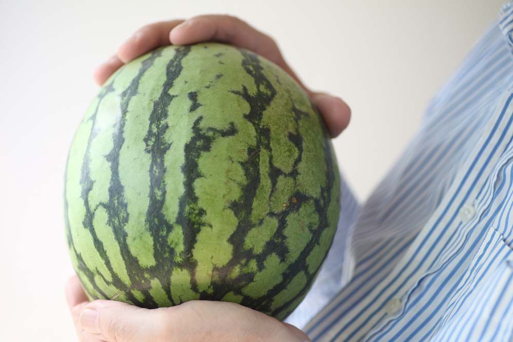 Watermelon Picking: Knocking and Knocking, just Start Winning!
