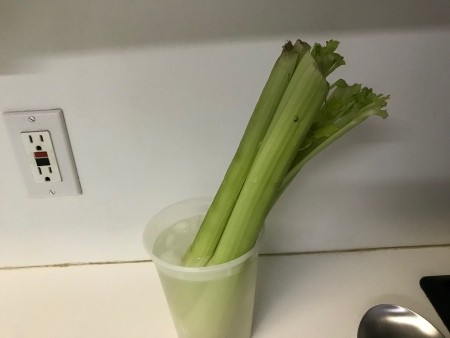 Save Your Limp Celery—Don’t Toss It Yet!