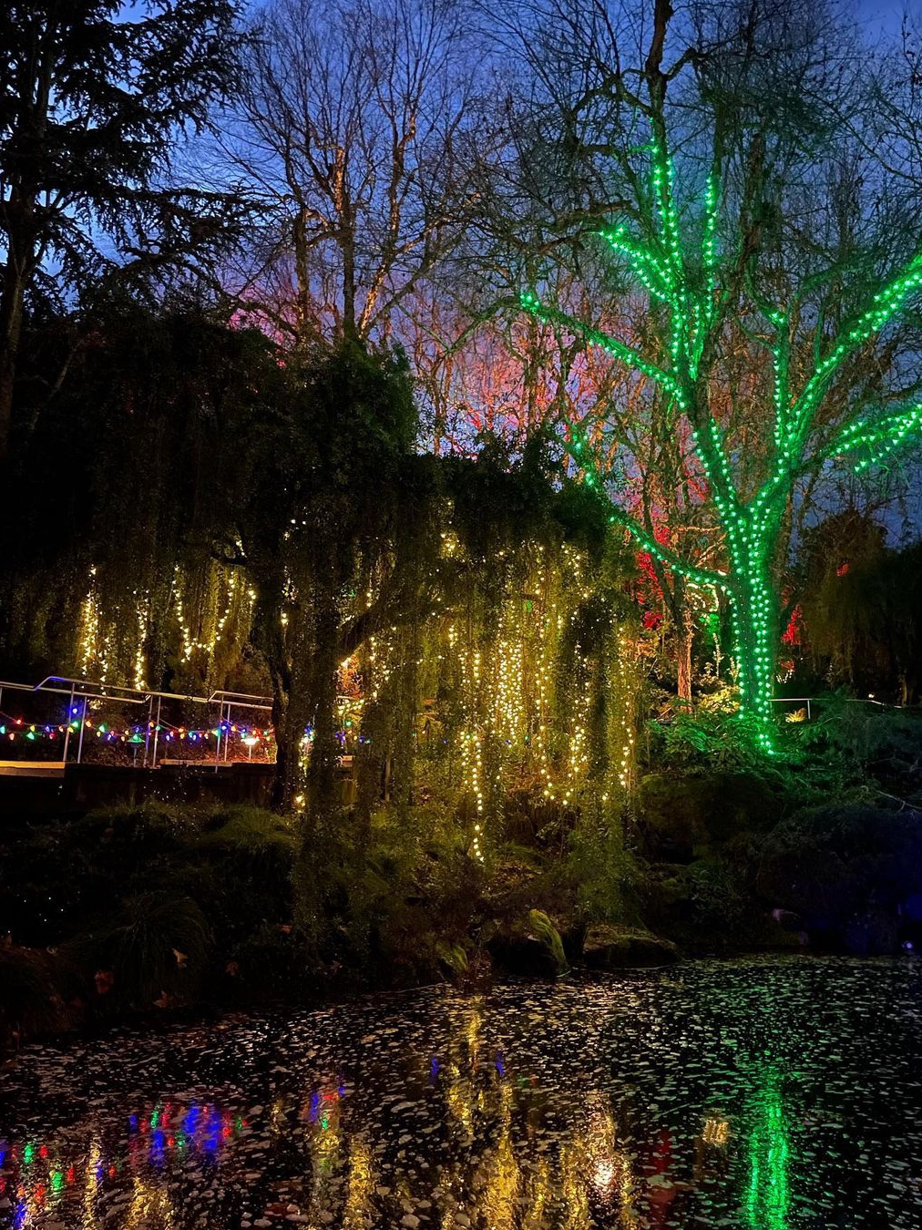 Gilroy Gardens: Splash, Thrills, and Family Fun