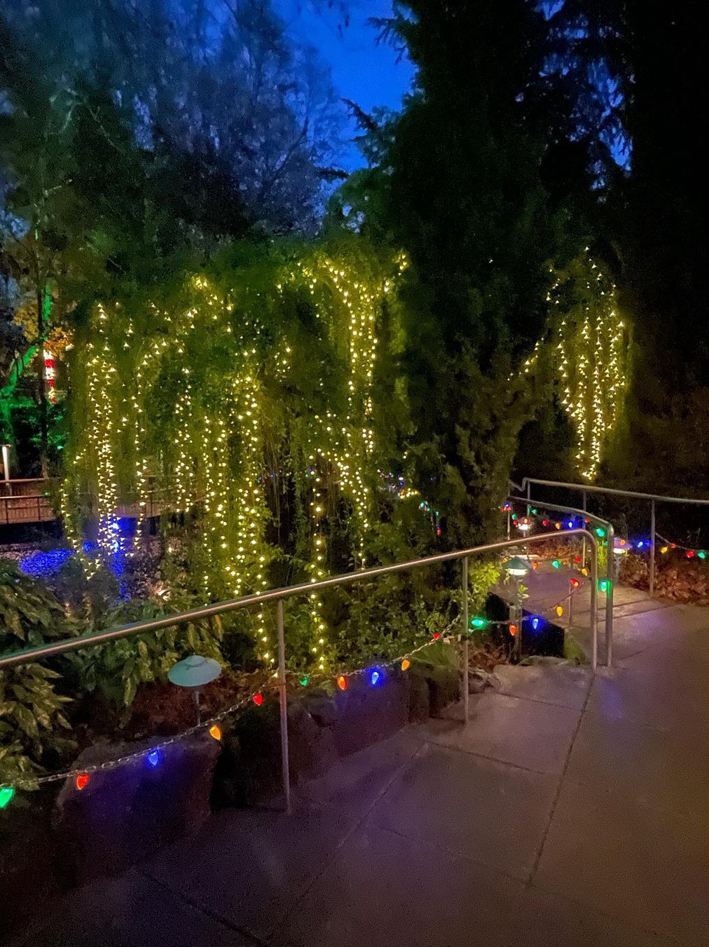 Gilroy Gardens: Splash, Thrills, and Family Fun