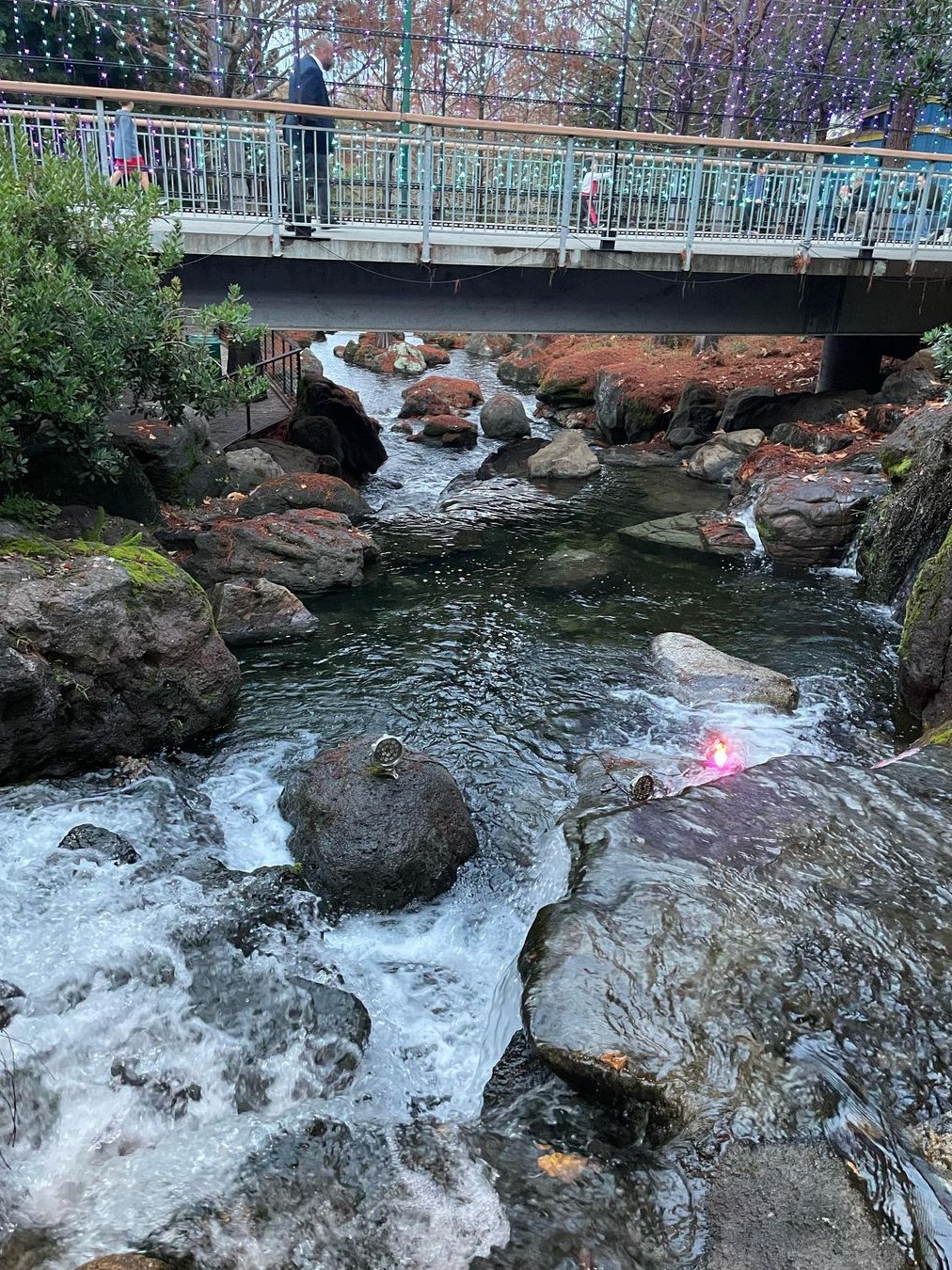 Gilroy Gardens: Splash, Thrills, and Family Fun