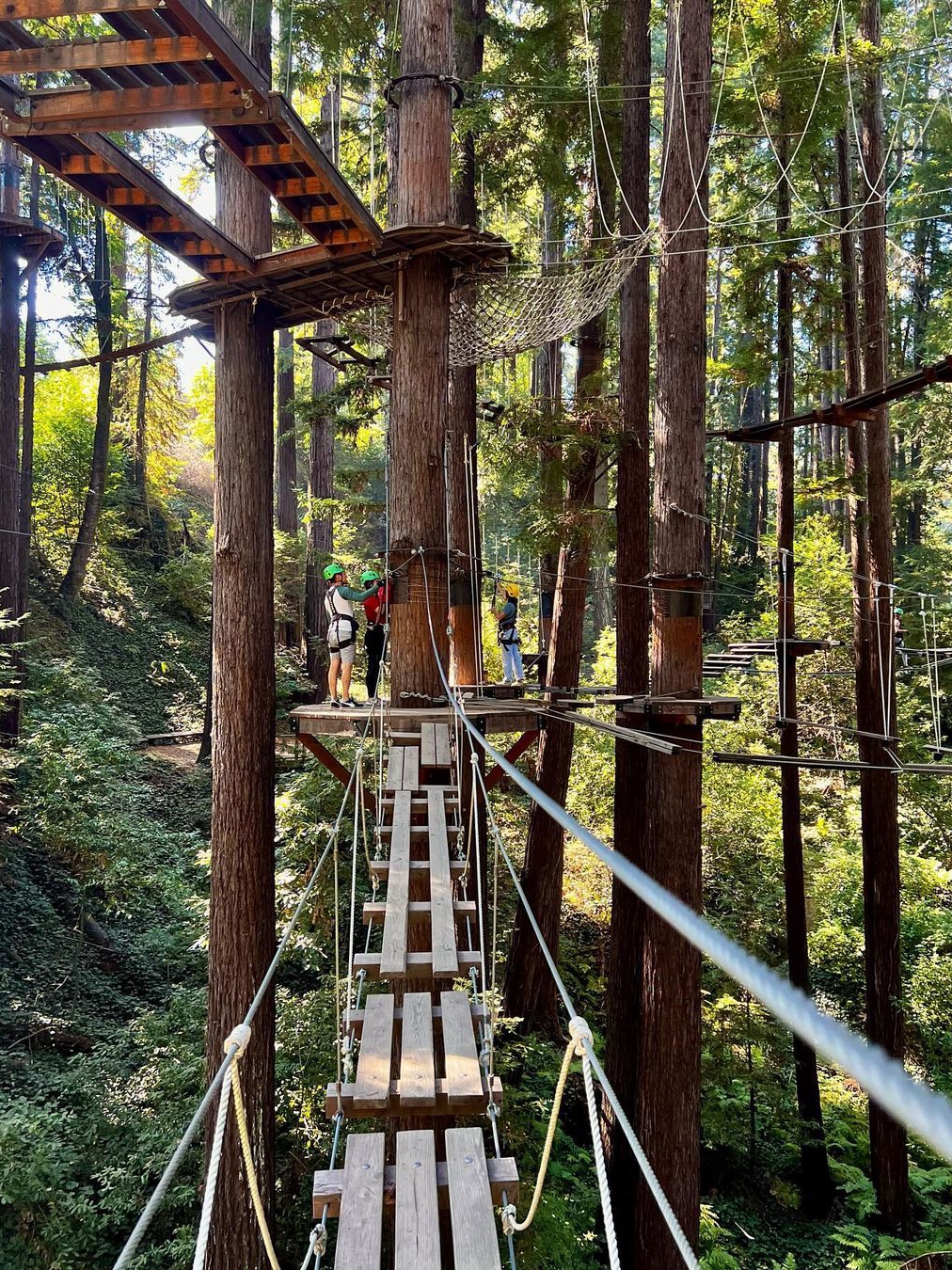 Thrilling Tree-Top Adventures at Mount Adventures in Felton