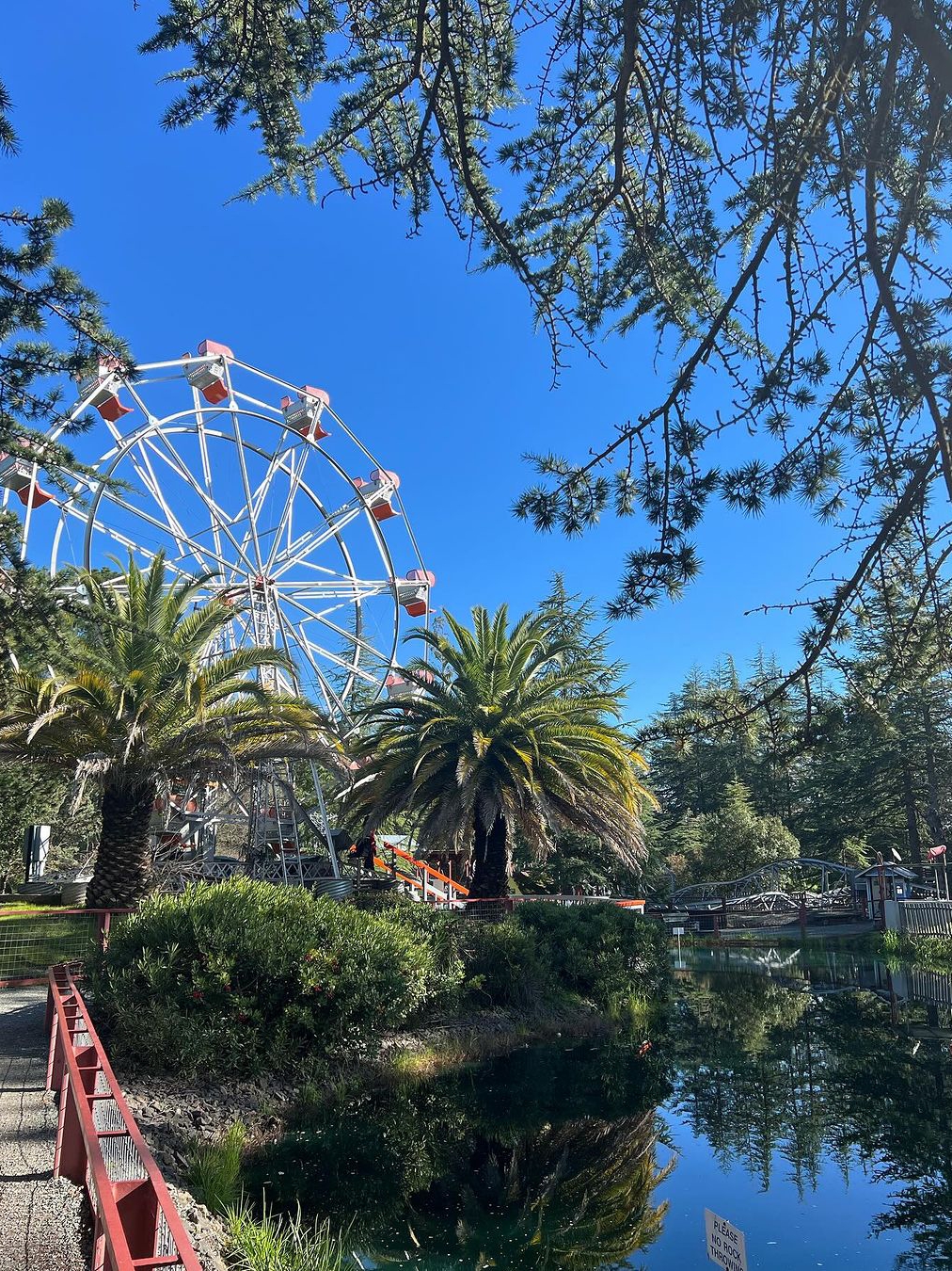 Sonoma, CA: More than Just Wine Tasting! 🎡🌳🚂
