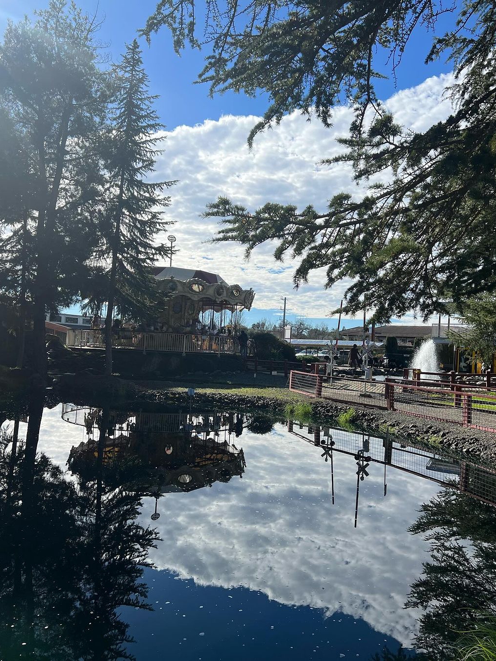 Sonoma, CA: More than Just Wine Tasting! 🎡🌳🚂
