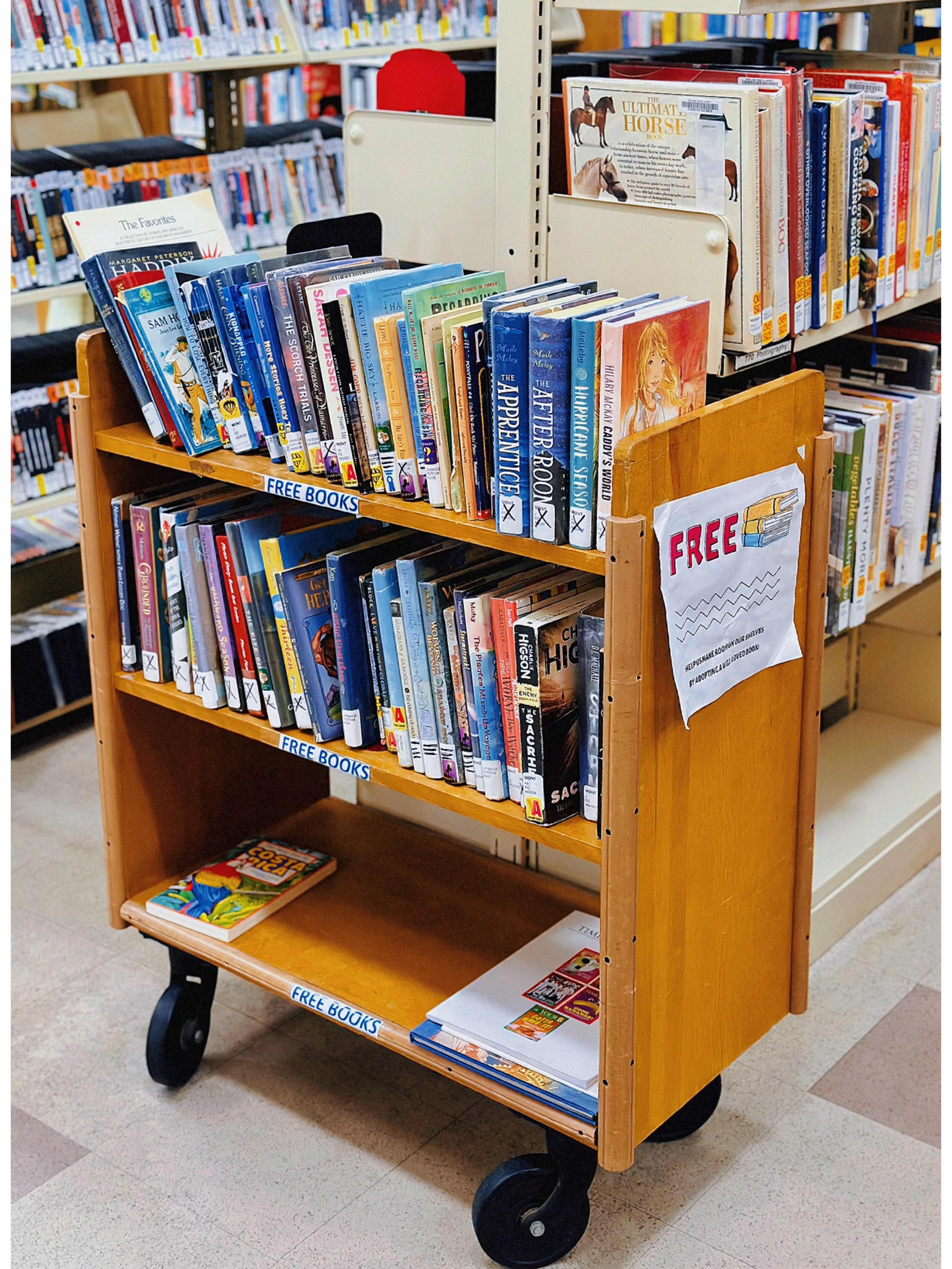Wizard's Hut Library *Montclair Library*🔮