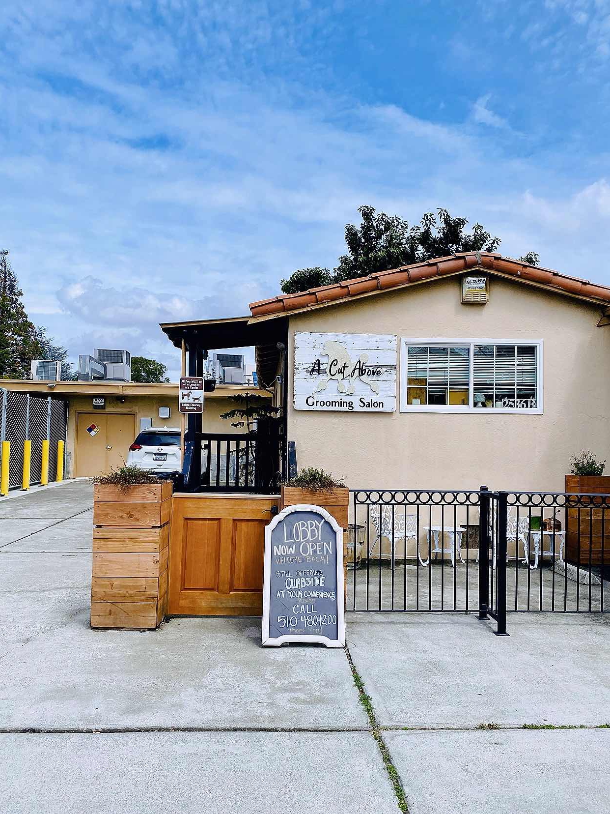 Dog Grooming in East Bay ❤️
