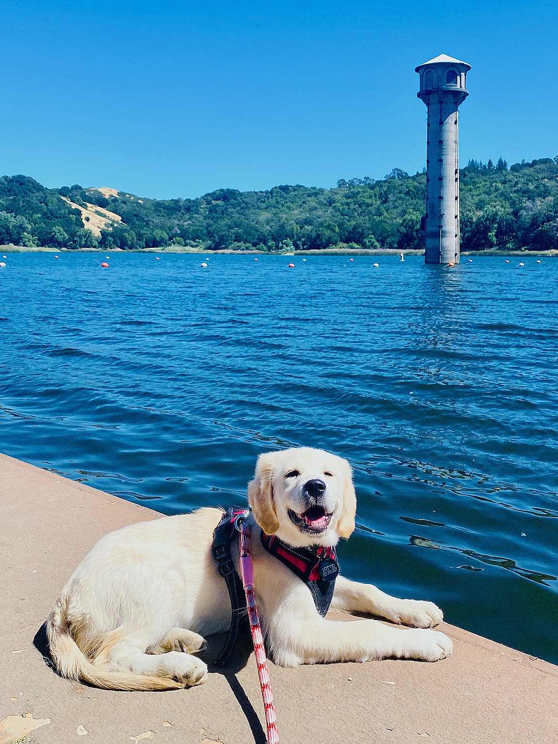 Lafayette Reservoir Travelogue - The Best Fishing Spot in The Bay Area