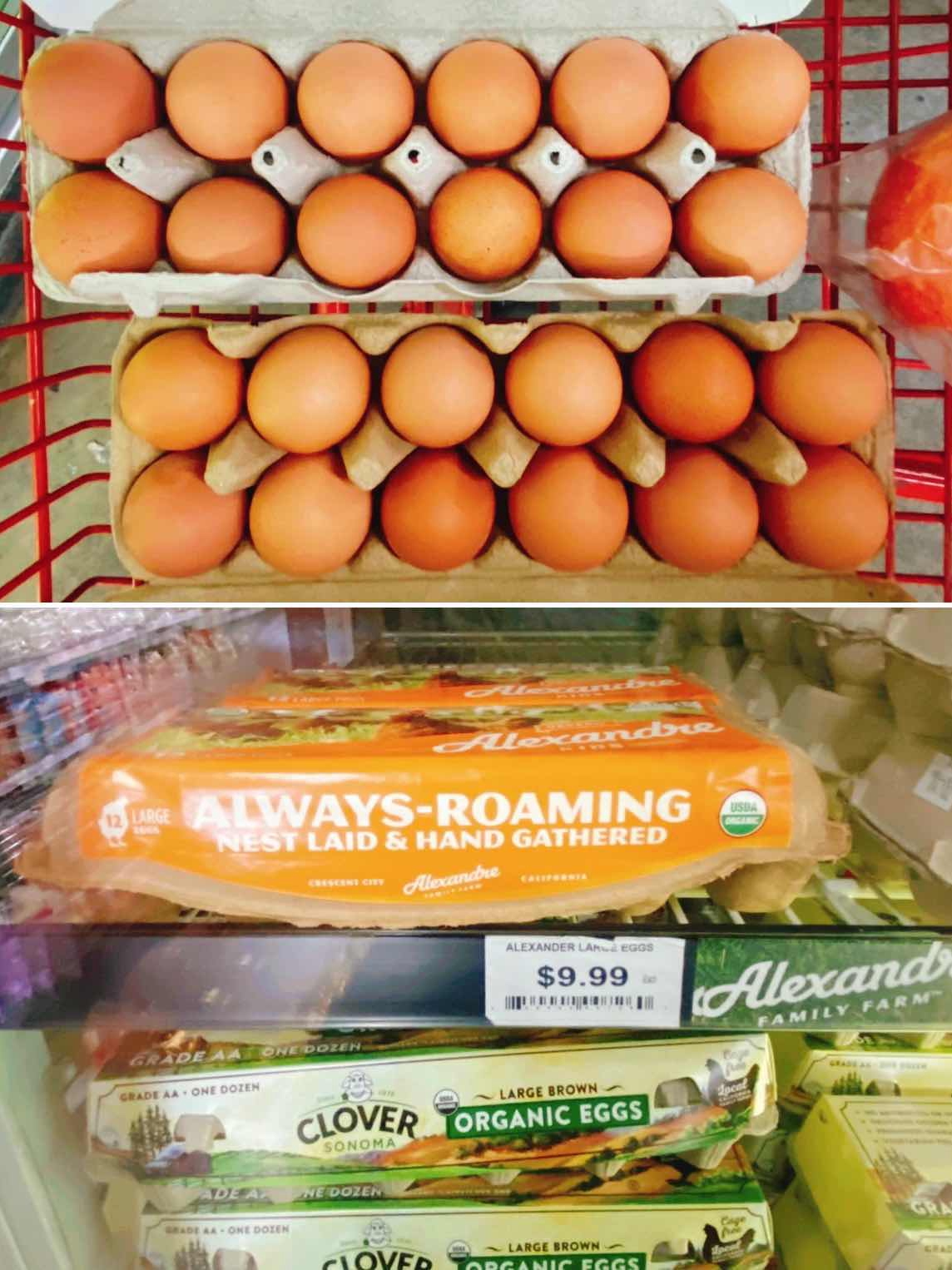 Felipe’s Market•A Hidden Eastern European Grocery Gem in South Bay🌈❤️