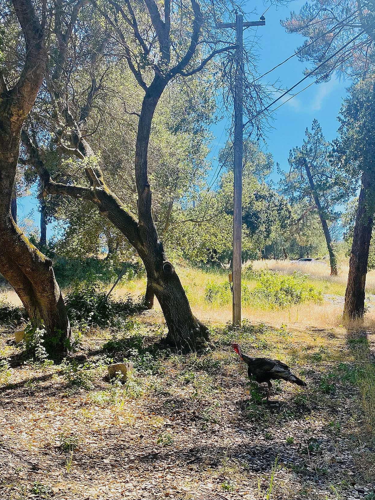 Lafayette Reservoir Travelogue - The Best Fishing Spot in The Bay Area