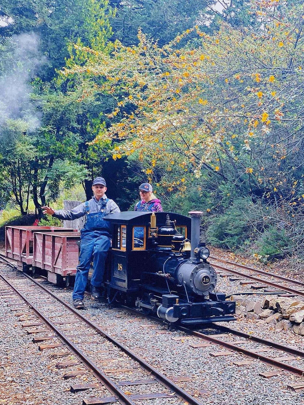 Orinda Travel Log • Steam Train🚂 Library📚 and Beautiful Theatre🎥