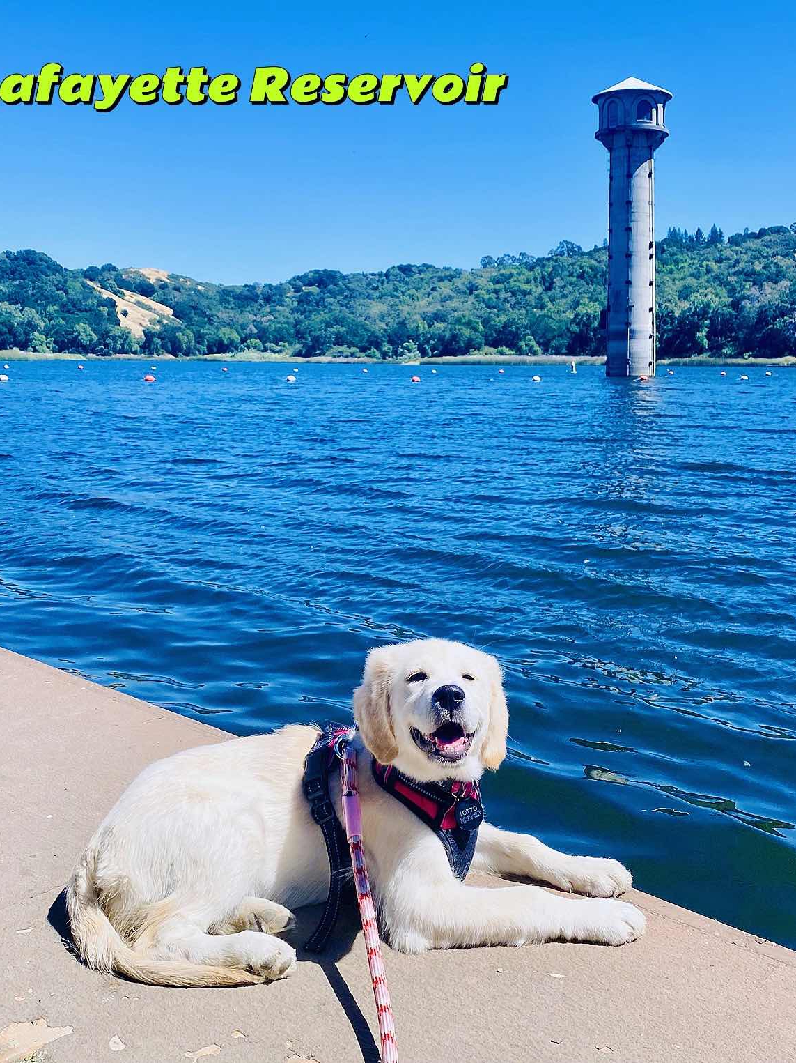 Beginner's Fishing Summary Post: Major Showdown at the Four Lakes of East Bay 🎣🌞