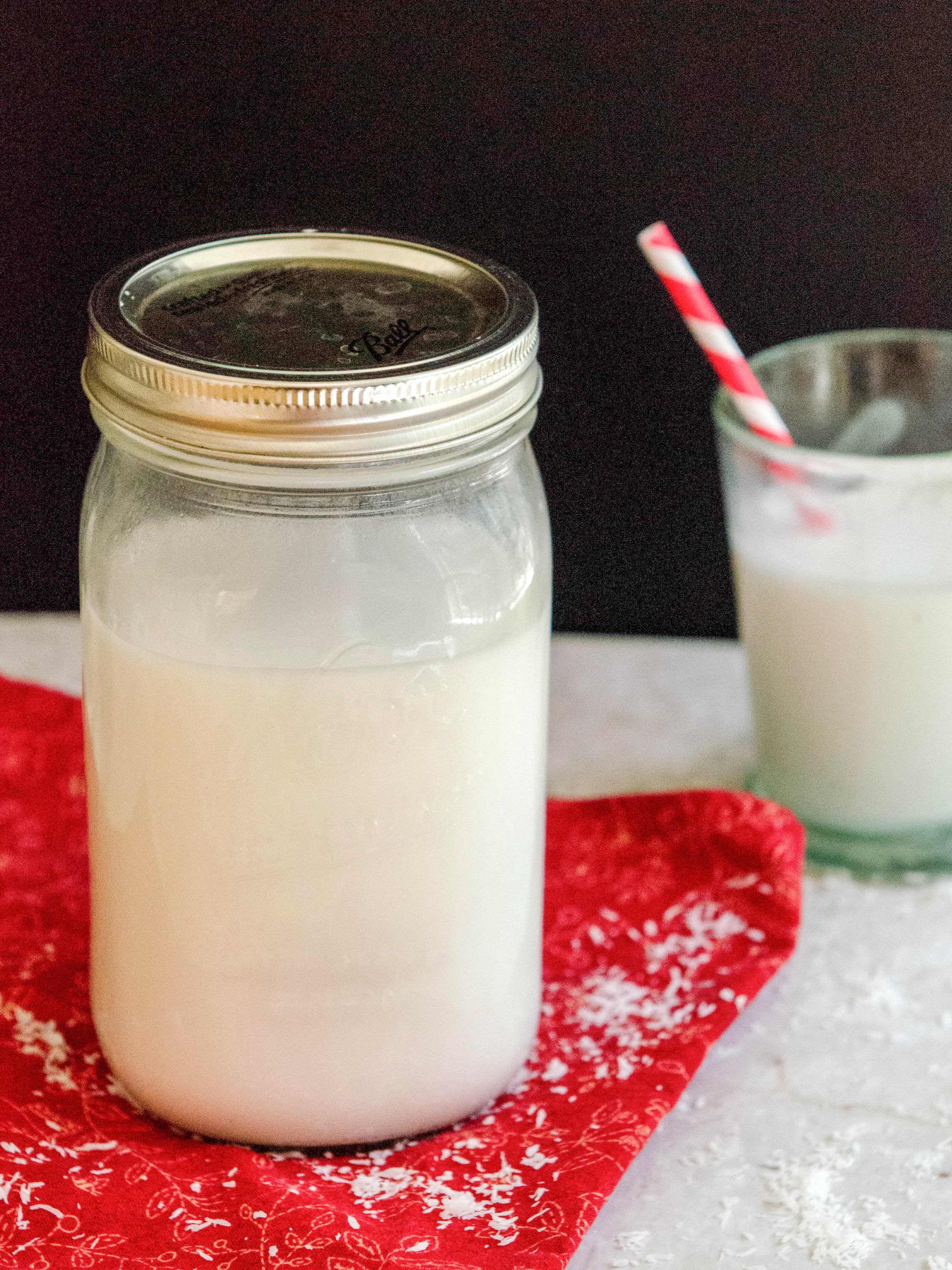 Homemade Coconut Milk in Minutes—Save Money & Get Fresh Flavor!