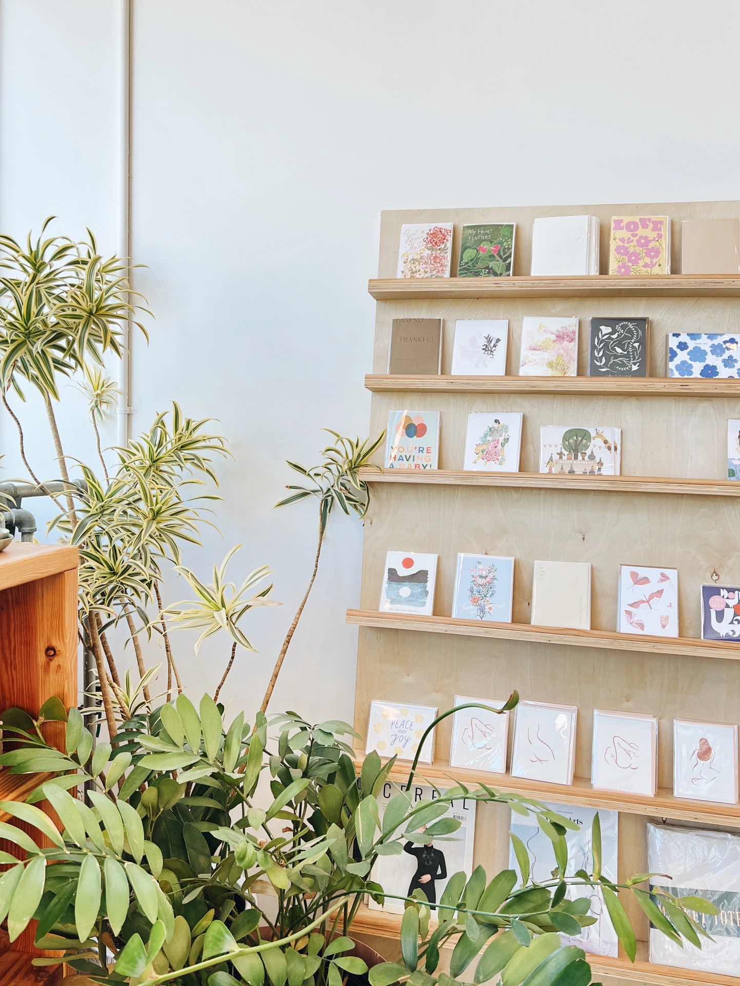 San Francisco | Ideal Lifestyle at Florist+Cafe