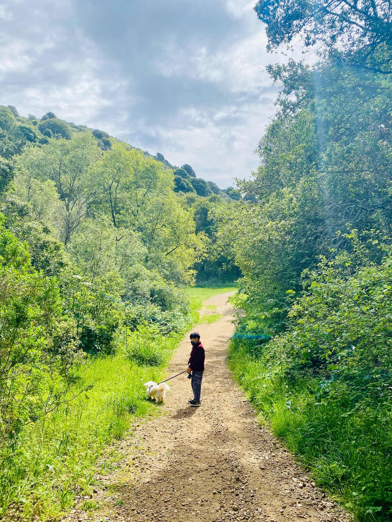 Taking my dog and bunny to this trail in Oakland!